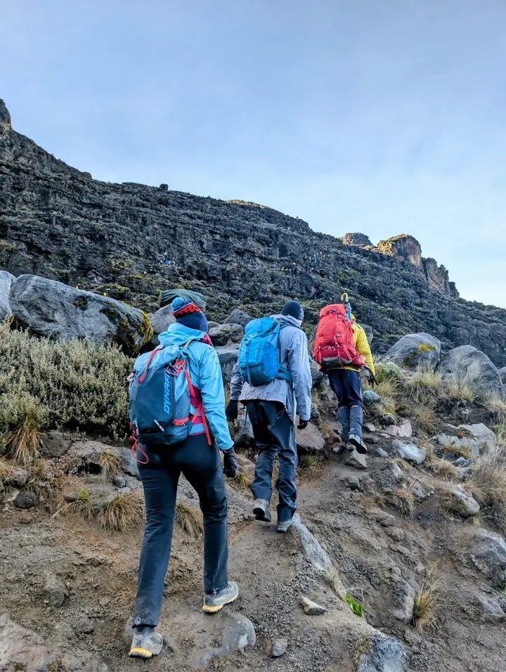 8 Days Kilimanjaro Lemosho Route