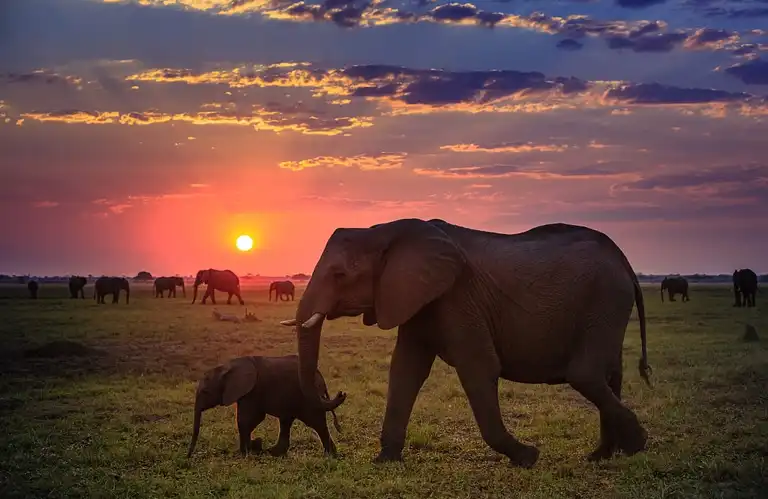 10 Days Tanzania Ultimate Safari Experience